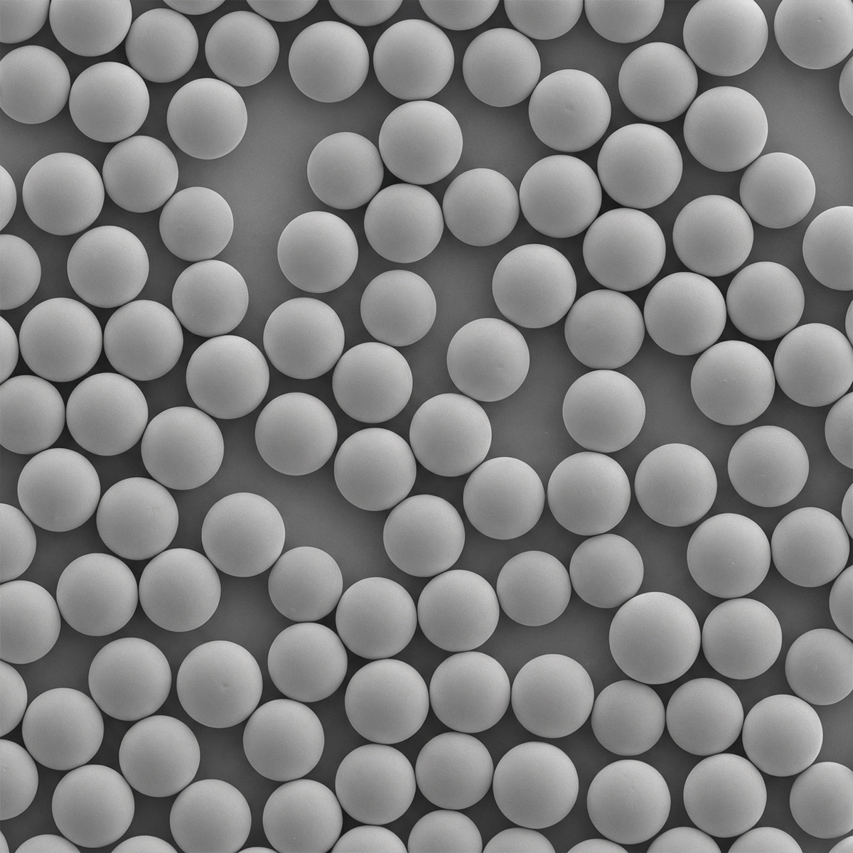 PLLA microspheres.png