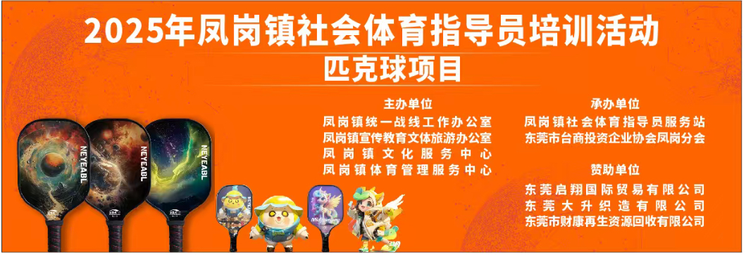 匹克球 (1).png