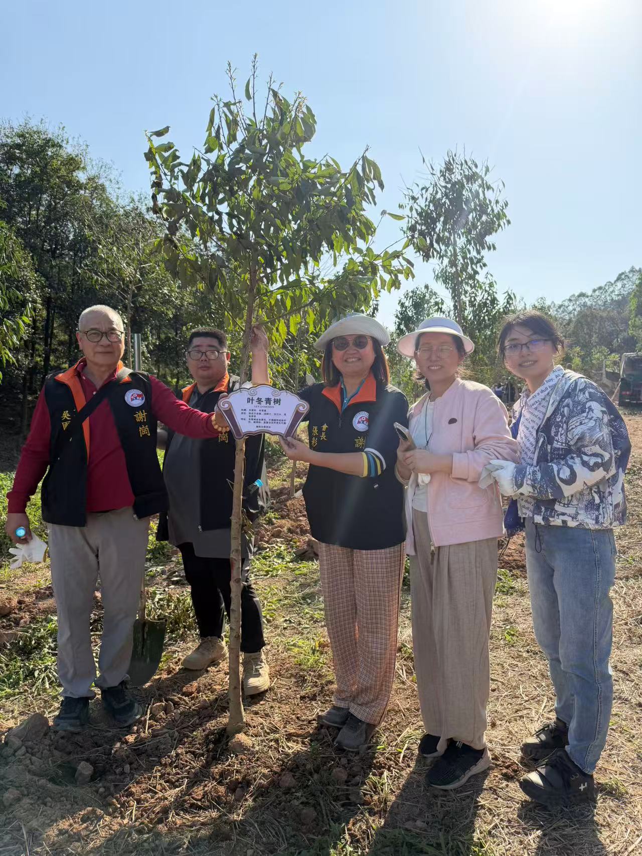 植树 (1).jpeg