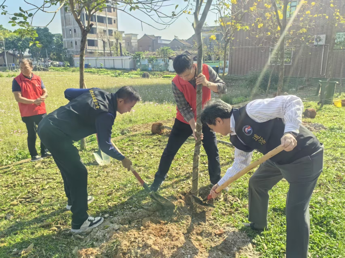 植树 (1).jpg