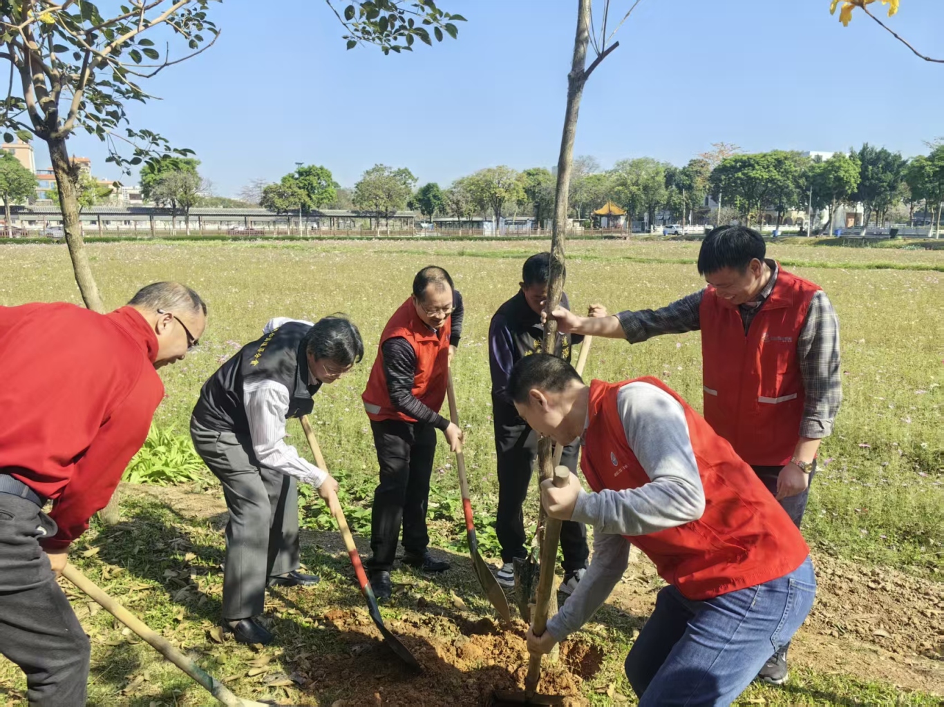 植树 (5).jpg