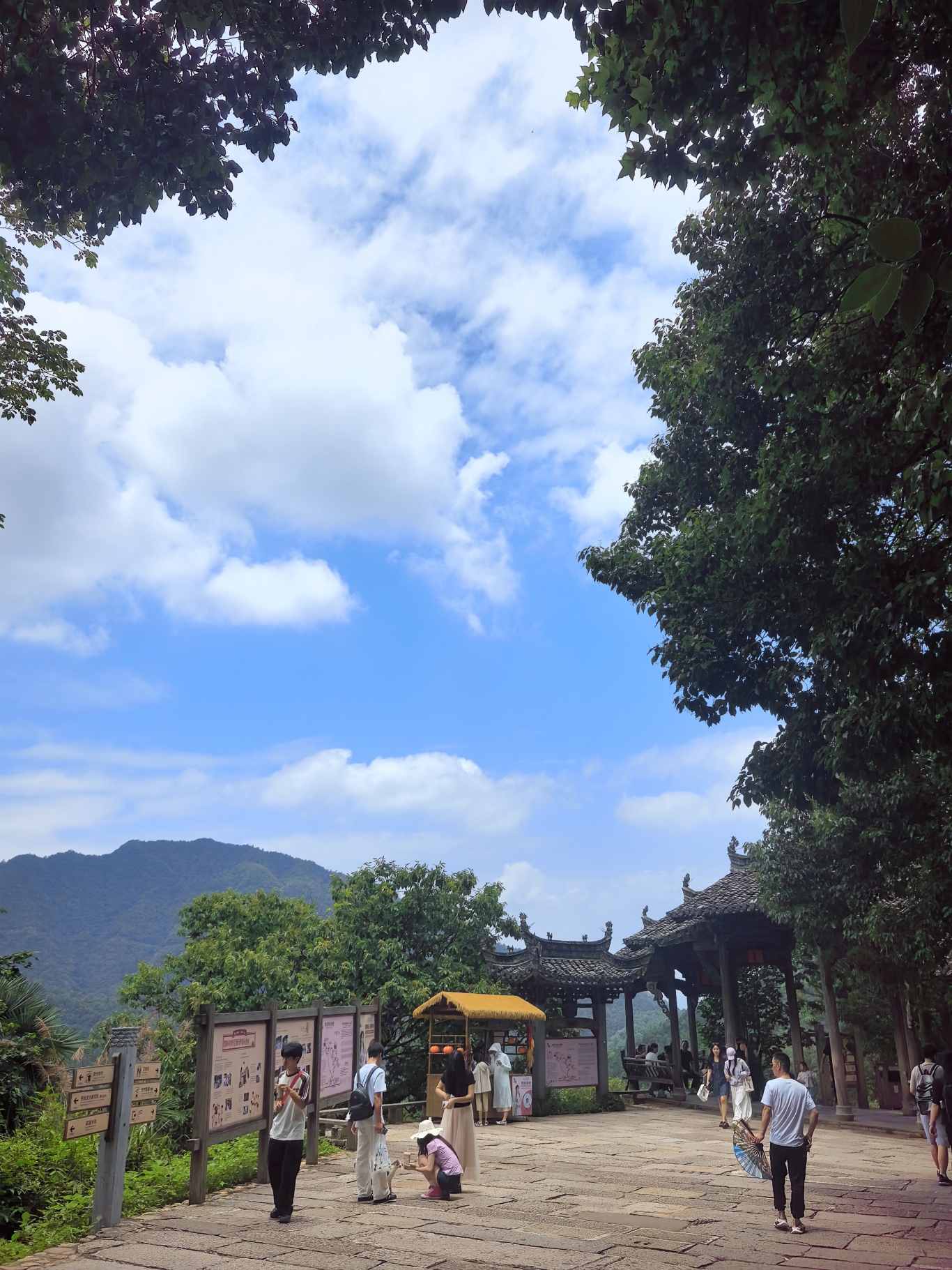 微信图片_20260610141234_129_207.jpg
