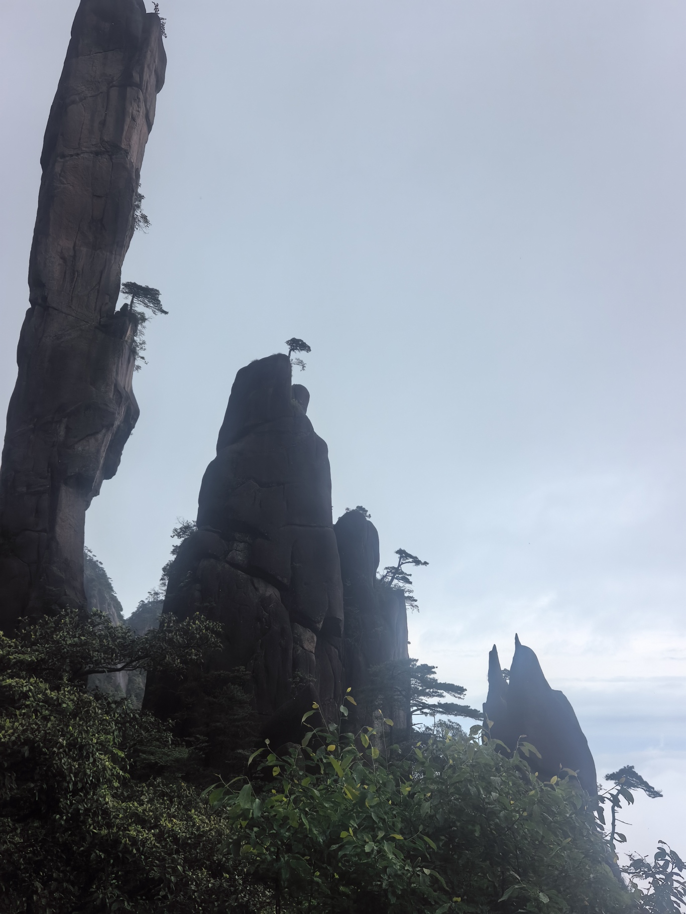 微信图片_20260610141211_127_207.jpg