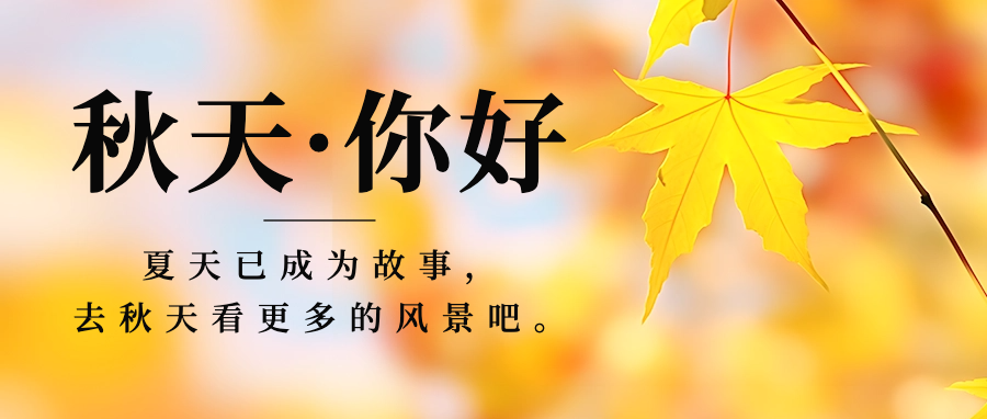 活动作品