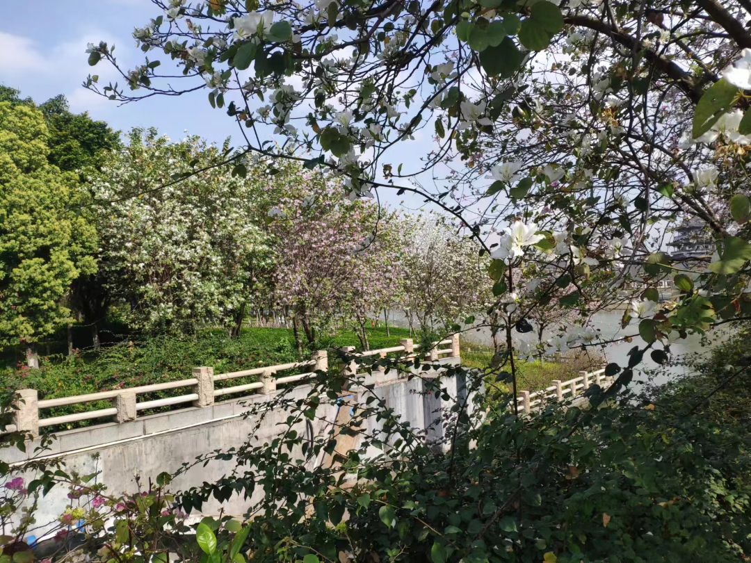 微信图片_20231015152223.jpg 微信图片_20231015152223.jpg