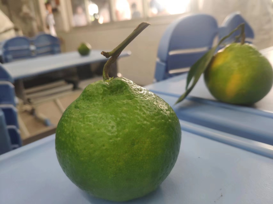 微信圖片_20231006114602.jpg 微信圖片_20231006114602.jpg