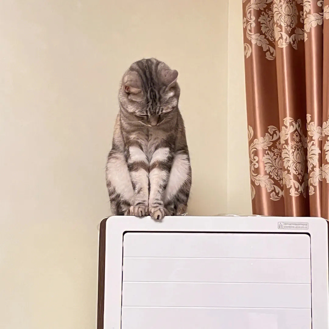 src=http___safe-img.xhscdn.com_bw1_c2e0e0f2-b32a-4e2b-857b-bd1f6e3c8549_imageView2_2_w_1080_format_jpg&refer=http___safe-img.xhscdn.webp.jpg src=http___safe-img.xhscdn.com_bw1_c2e0e0f2-b32a-4e2b-857b-bd1f6e3c8549_imageView2_2_w_1080_format_jpg&refer=http___safe-img.xhscdn.webp.jpg