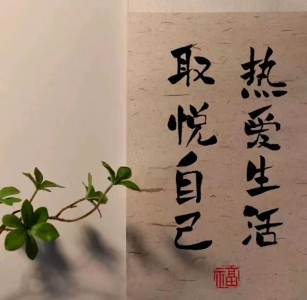 活动作品