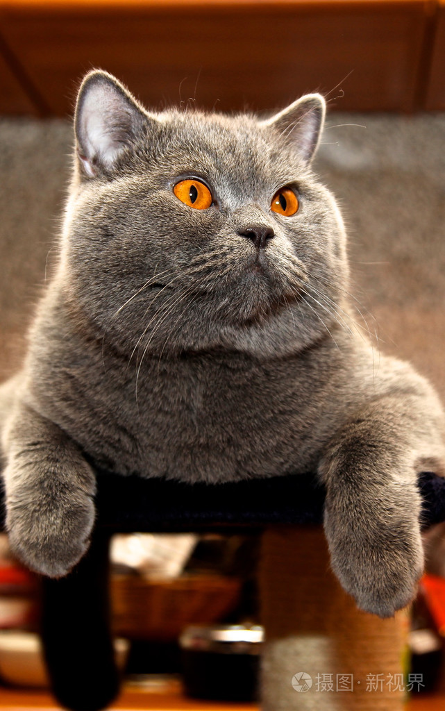 southeast (2).jpg southeast (2).jpg