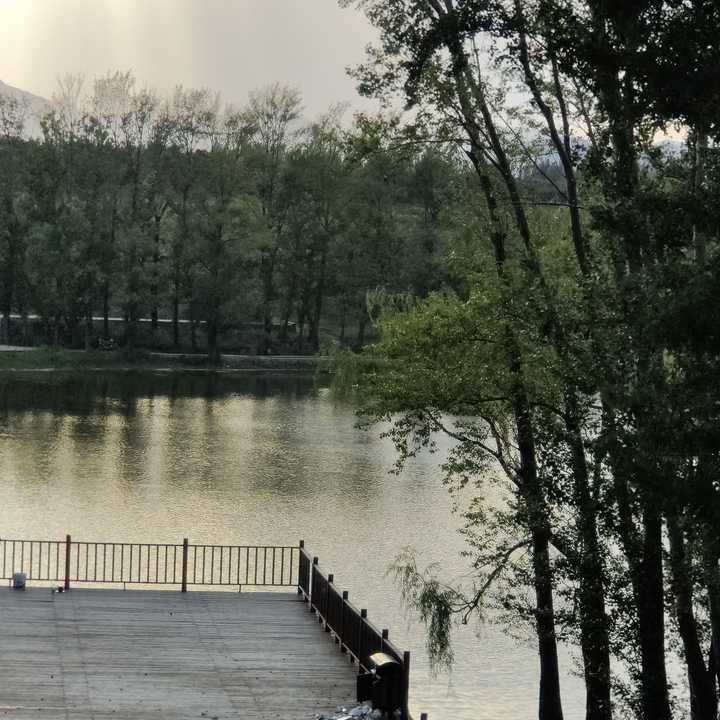 808502bd3970ff369528b14c4d2fa2f3.jpg 808502bd3970ff369528b14c4d2fa2f3.jpg