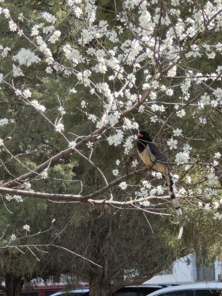 84ae0dc2569383d3e0371946f8f3d314.jpg 84ae0dc2569383d3e0371946f8f3d314.jpg