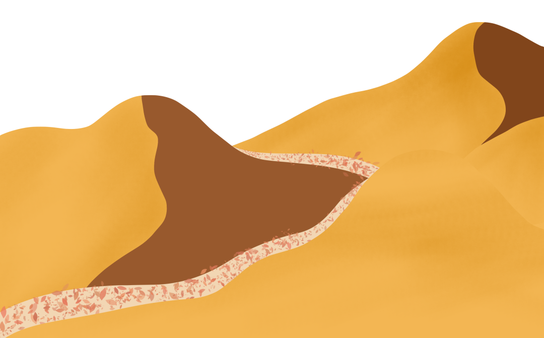 13.png