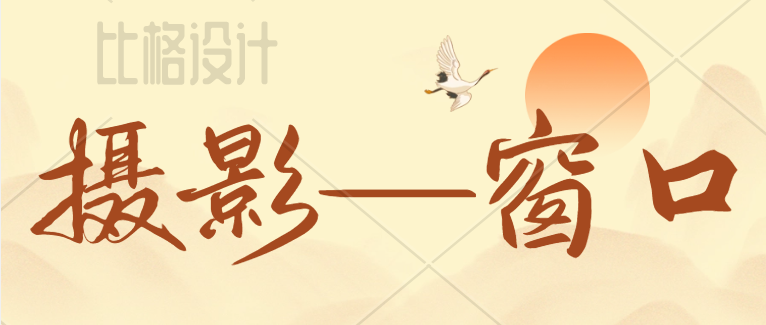 活动作品