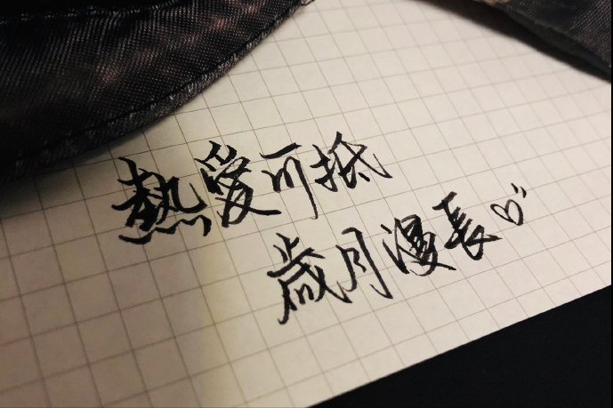 活动作品
