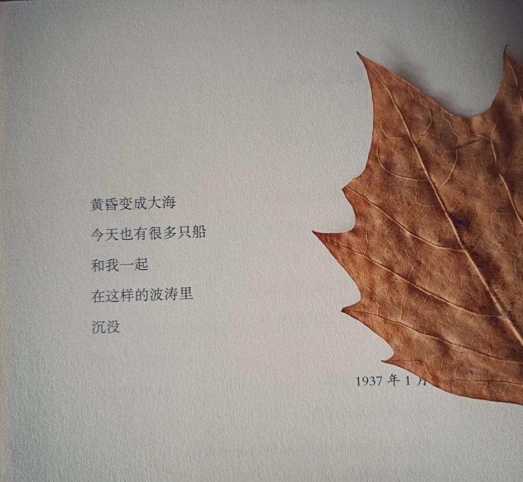 活动作品