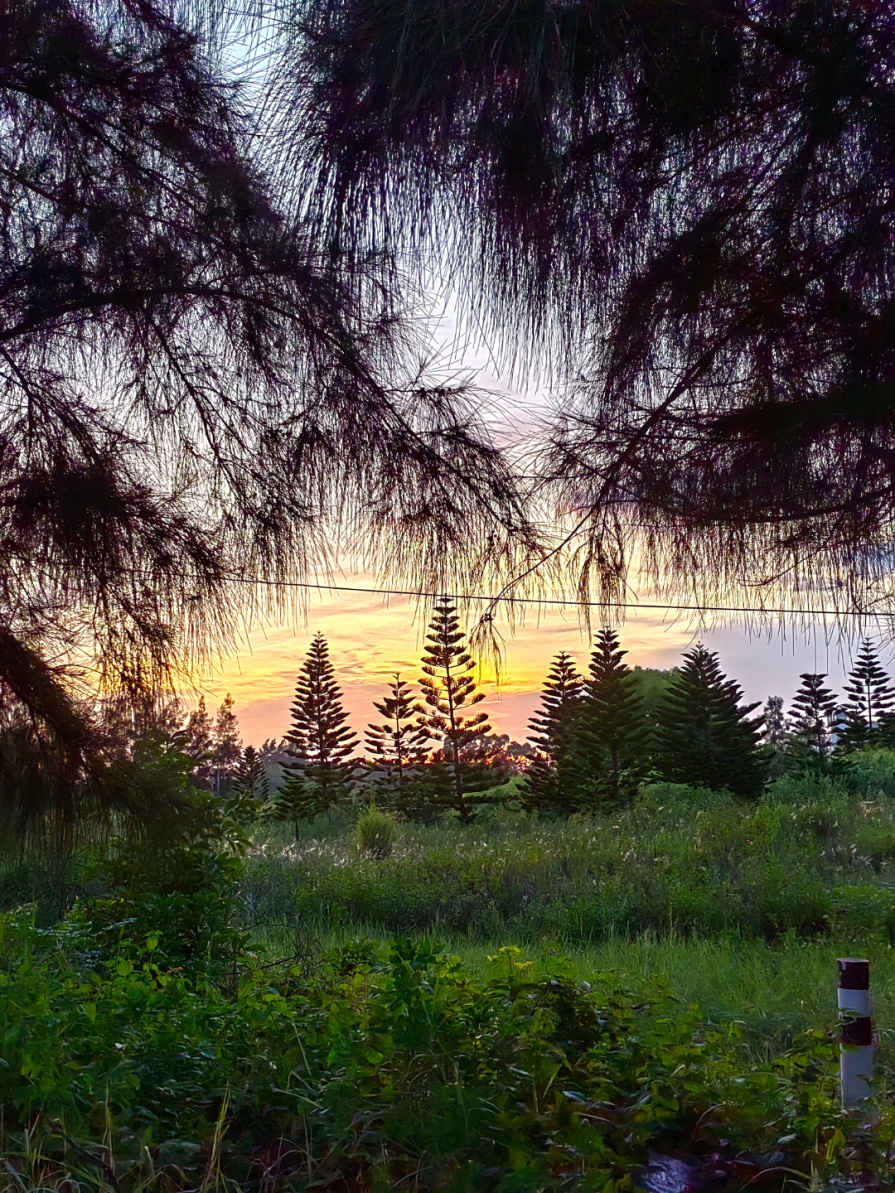 路途3.jpg 路途3.jpg