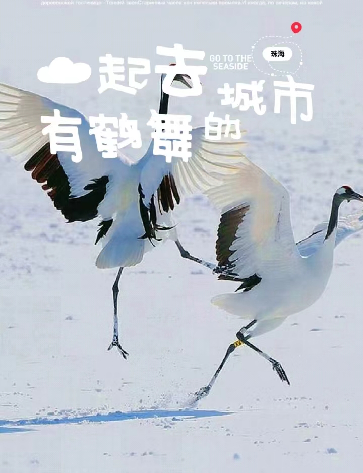 活动作品