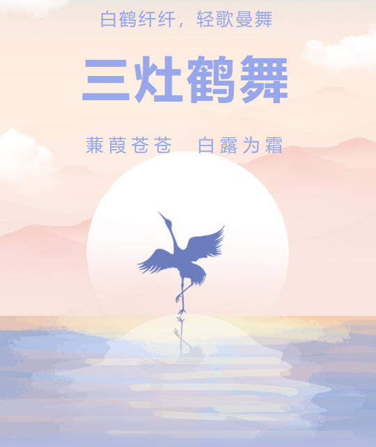 活动作品