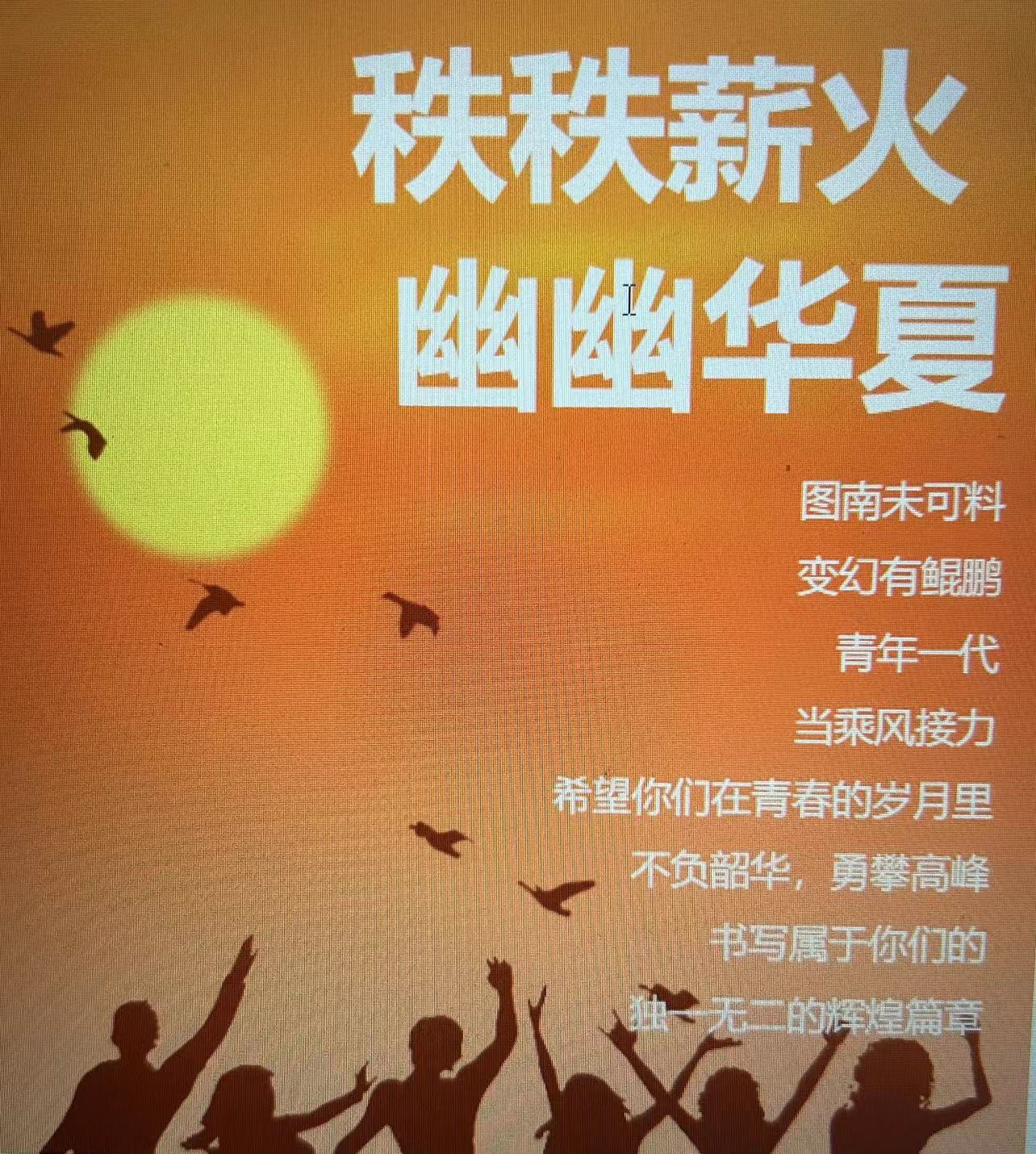 活动作品