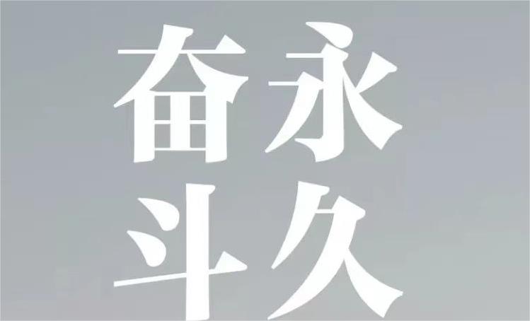 活动作品
