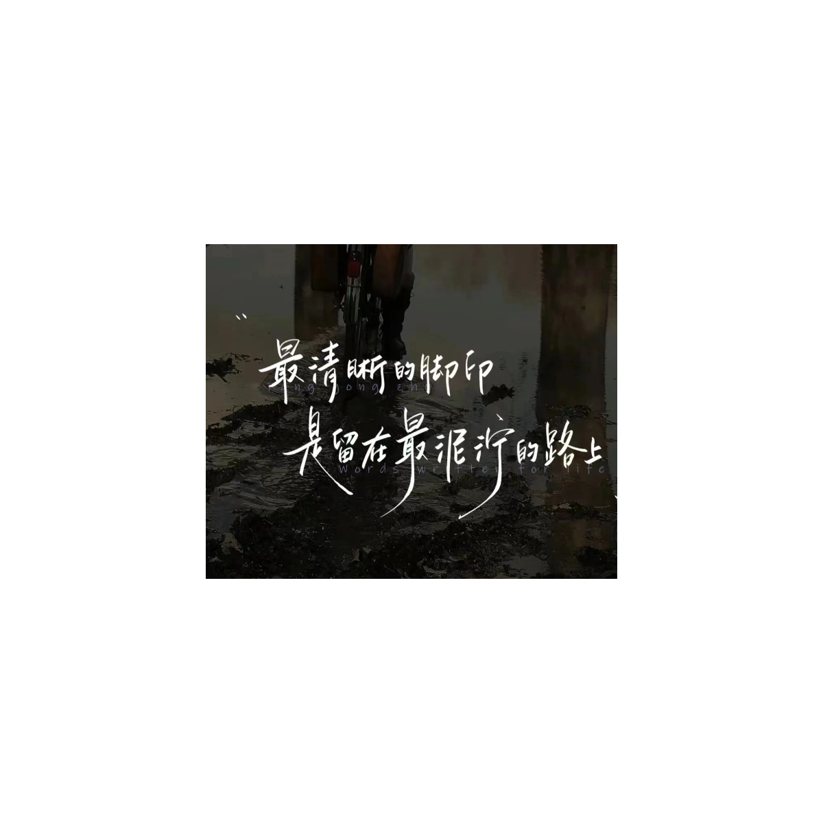 活動作品