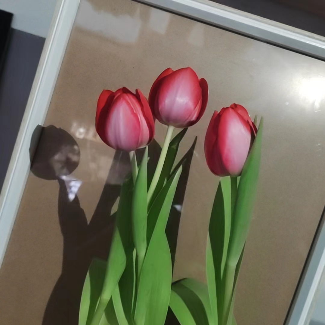微信图片_20240509134902.jpg