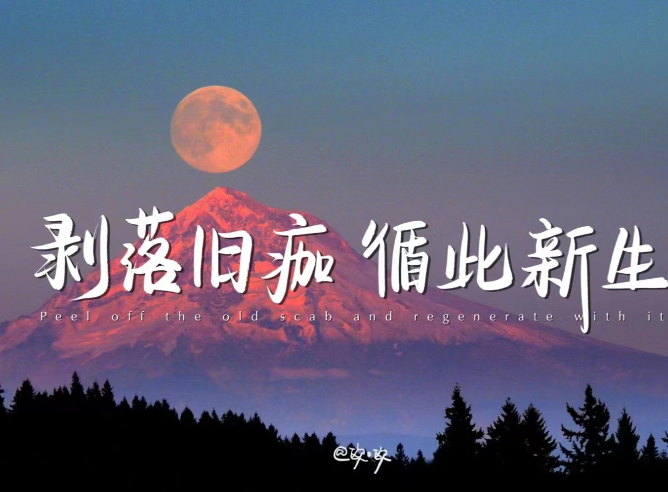 微信图片_20240511181758.jpg