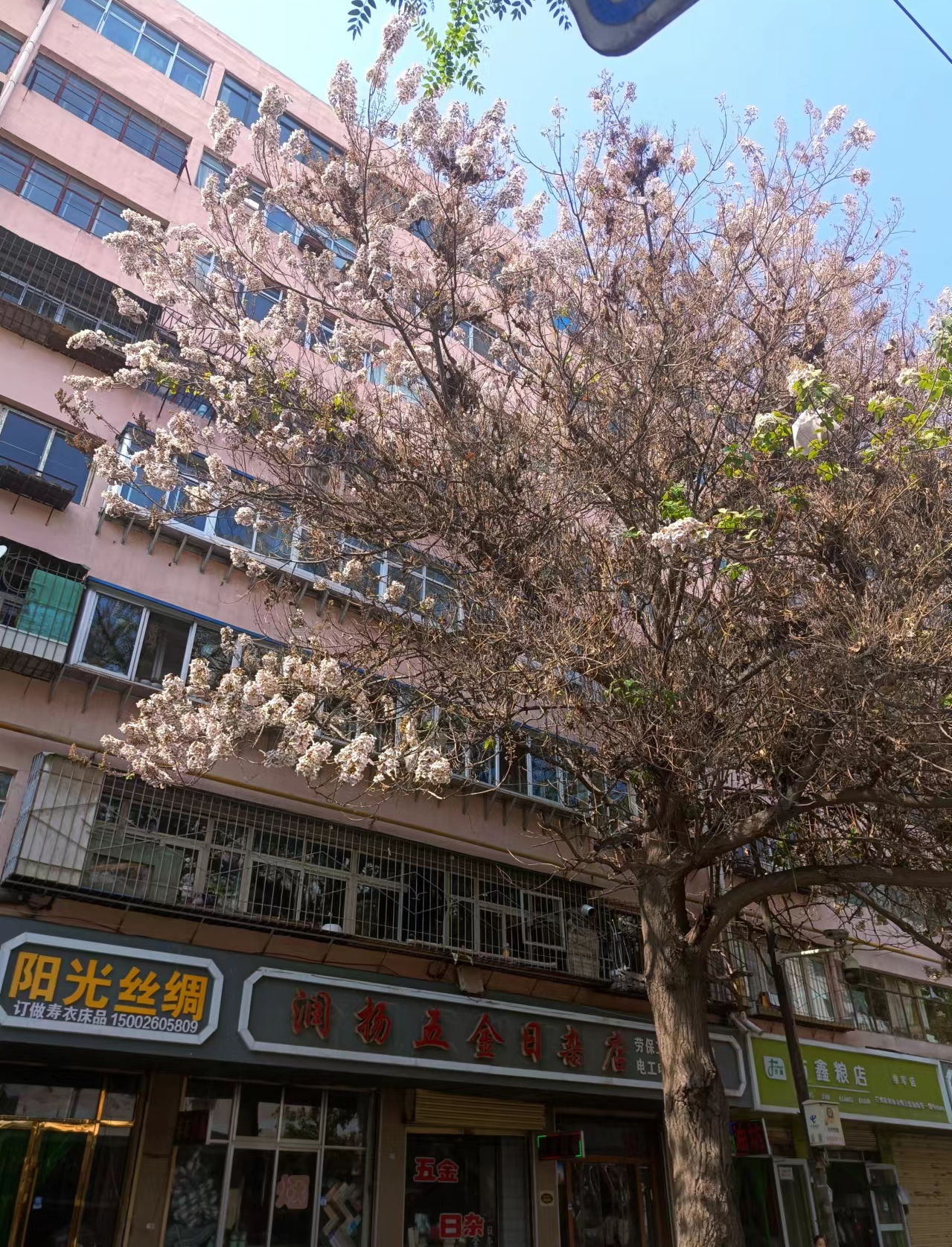 微信图片_20240622225920.jpg