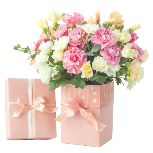 空白模板 (8).png