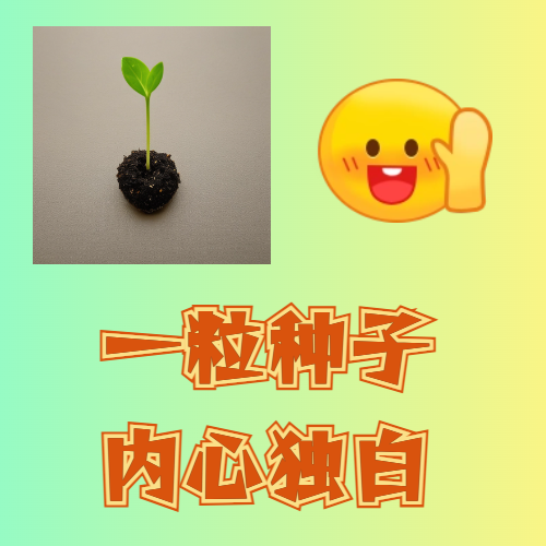活動作品