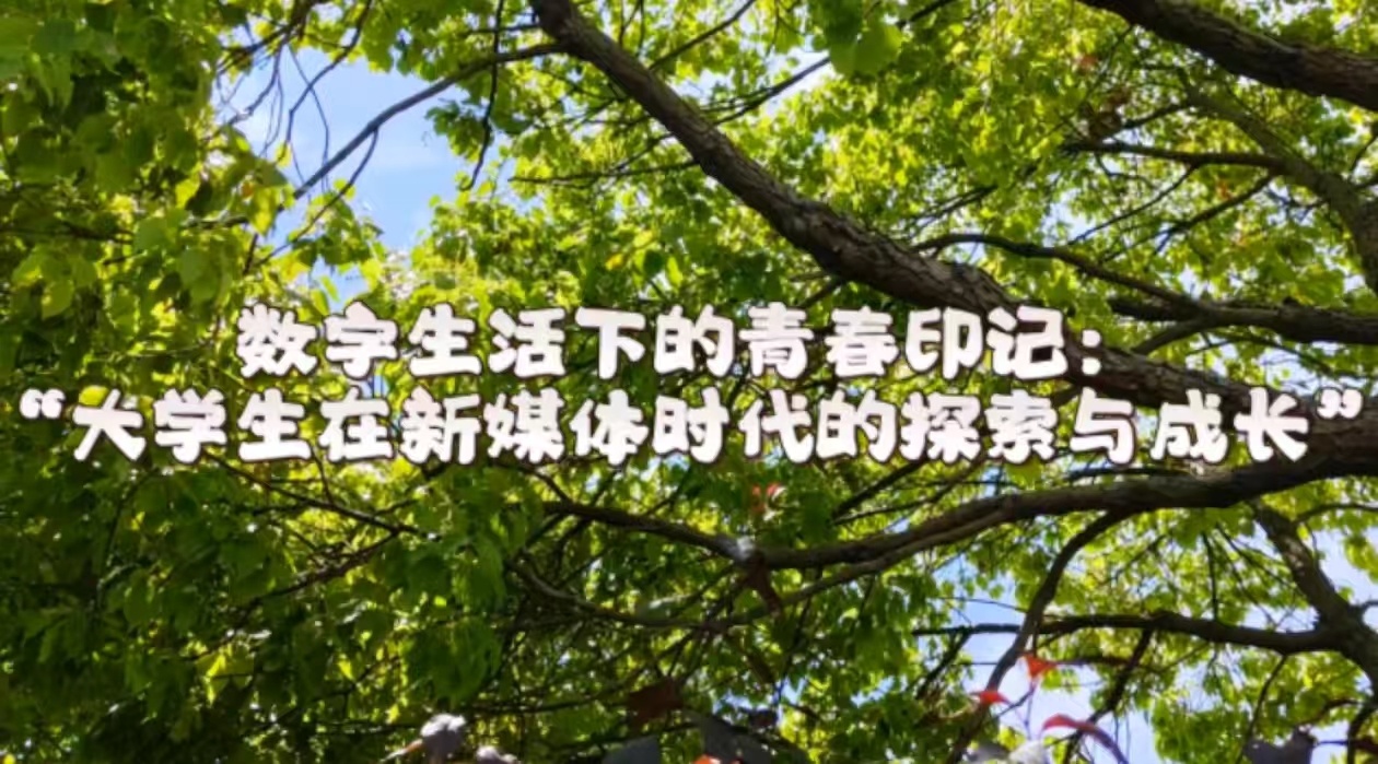 活動作品