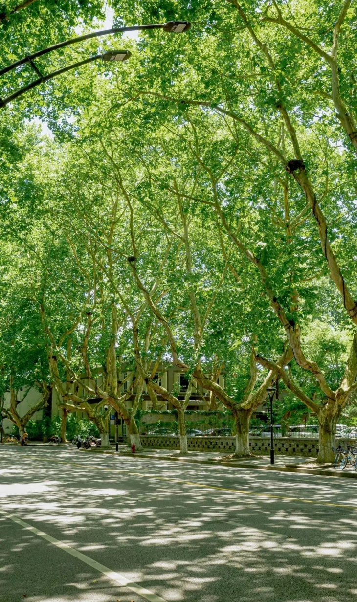 微信截图_20240628131328.png