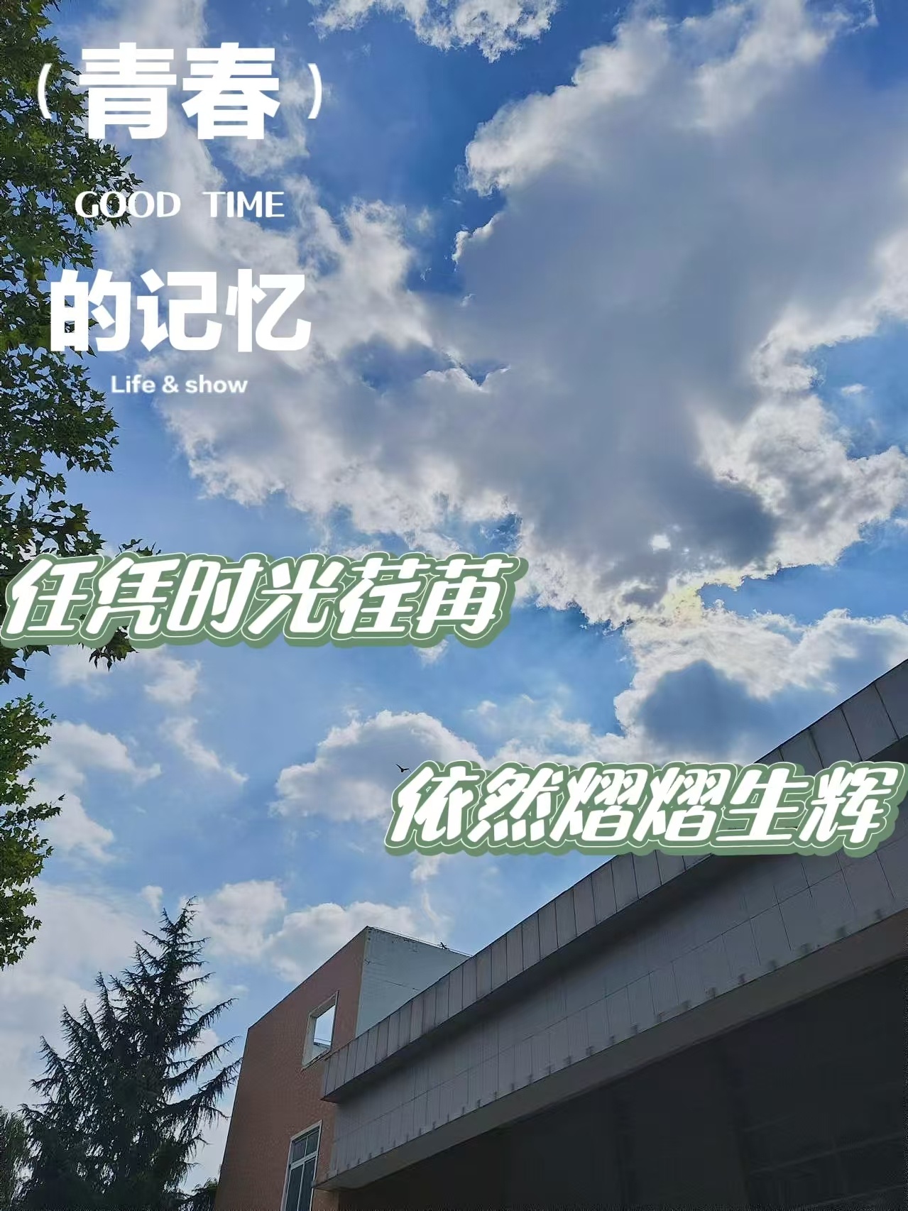活動作品