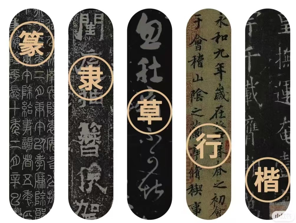 活动作品