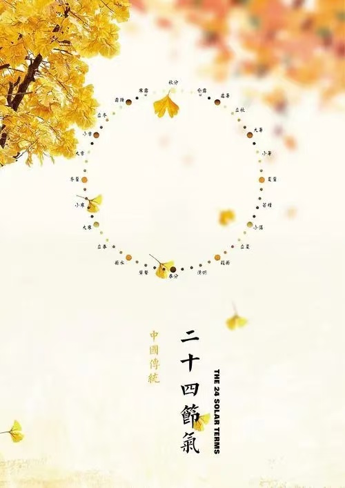 活动作品