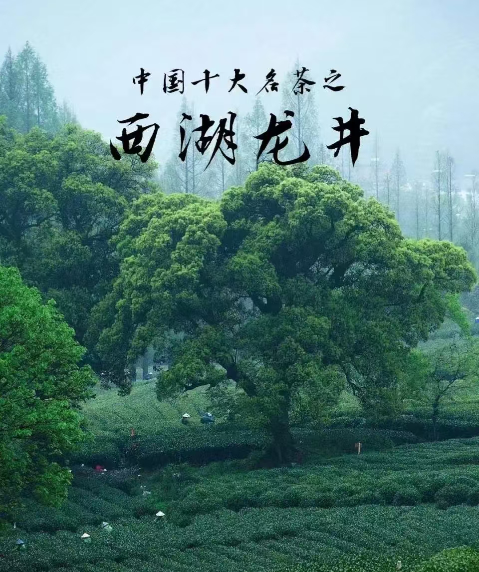 活動(dòng)作品