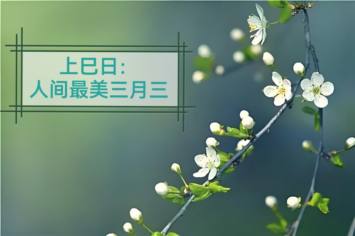 活動(dòng)作品