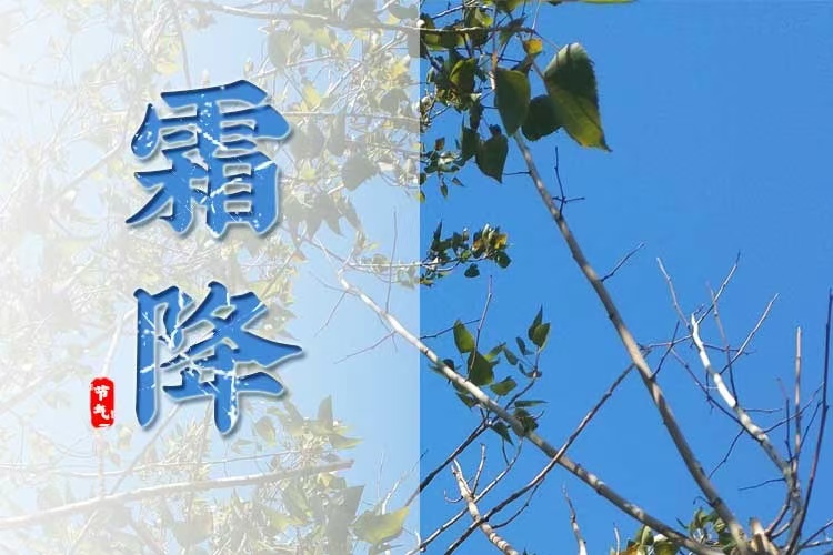 活動(dòng)作品