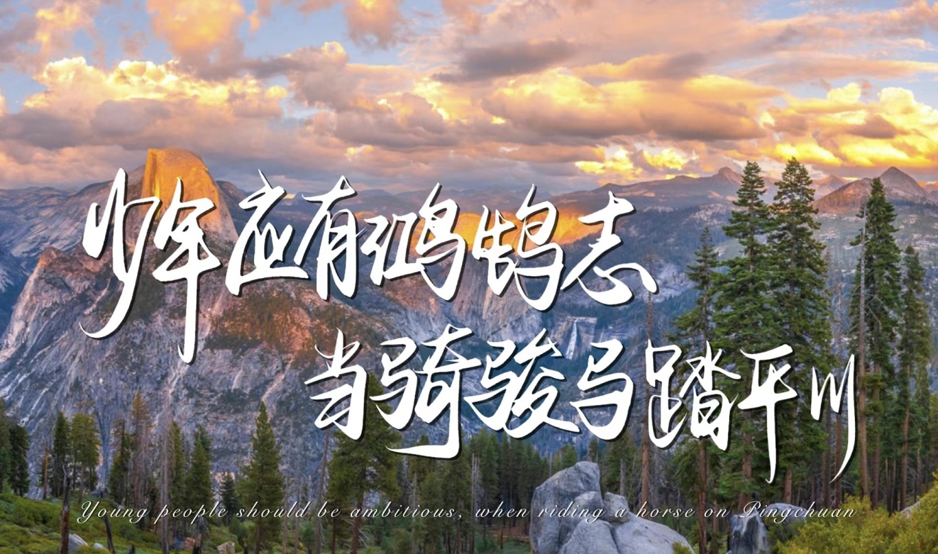活动作品