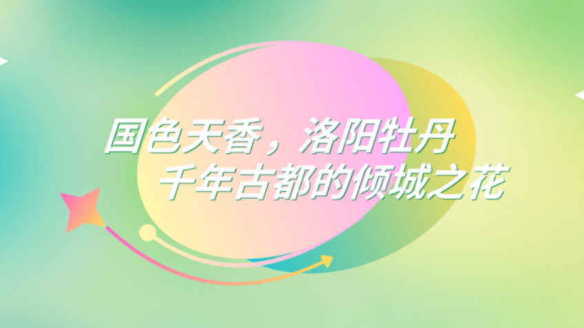 活动作品
