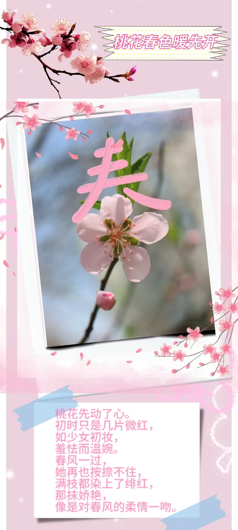 微信图片_20260406222904_188_84.jpg