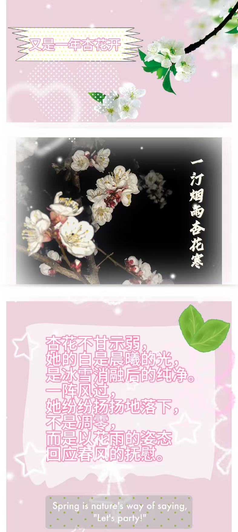微信图片_20260406225547_189_84.jpg