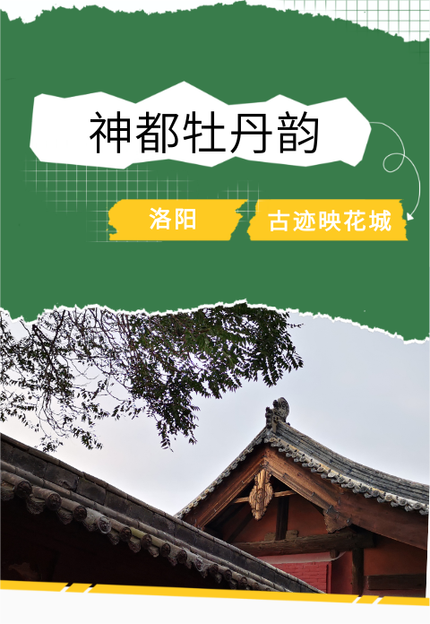活动作品