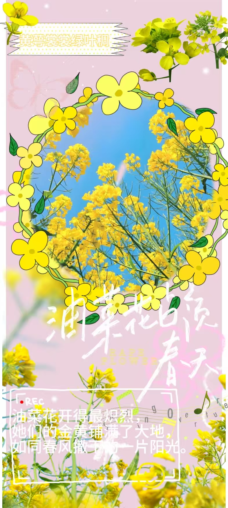 微信图片_20260406232033_192_84.jpg