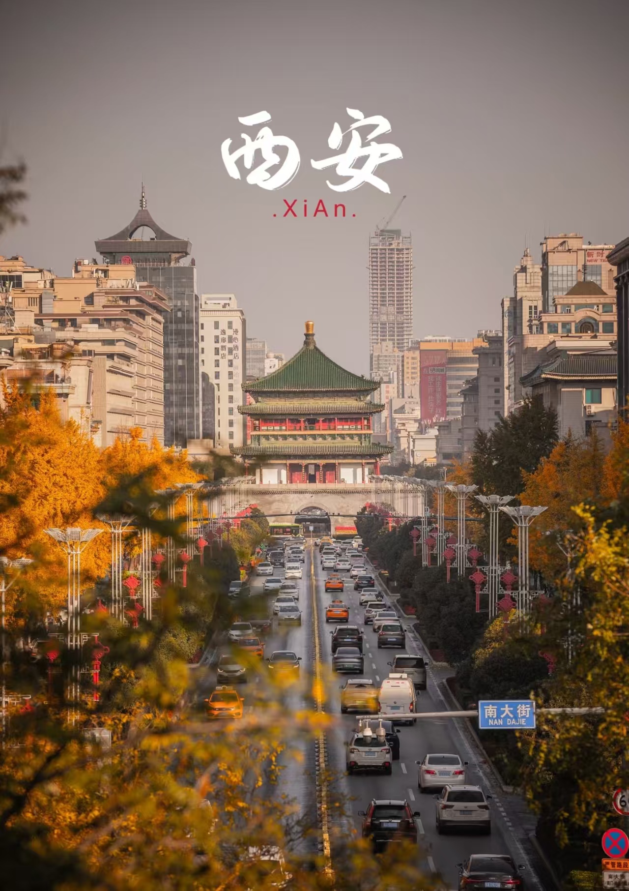 活动作品