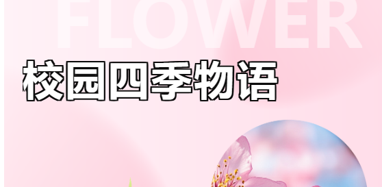 活动作品