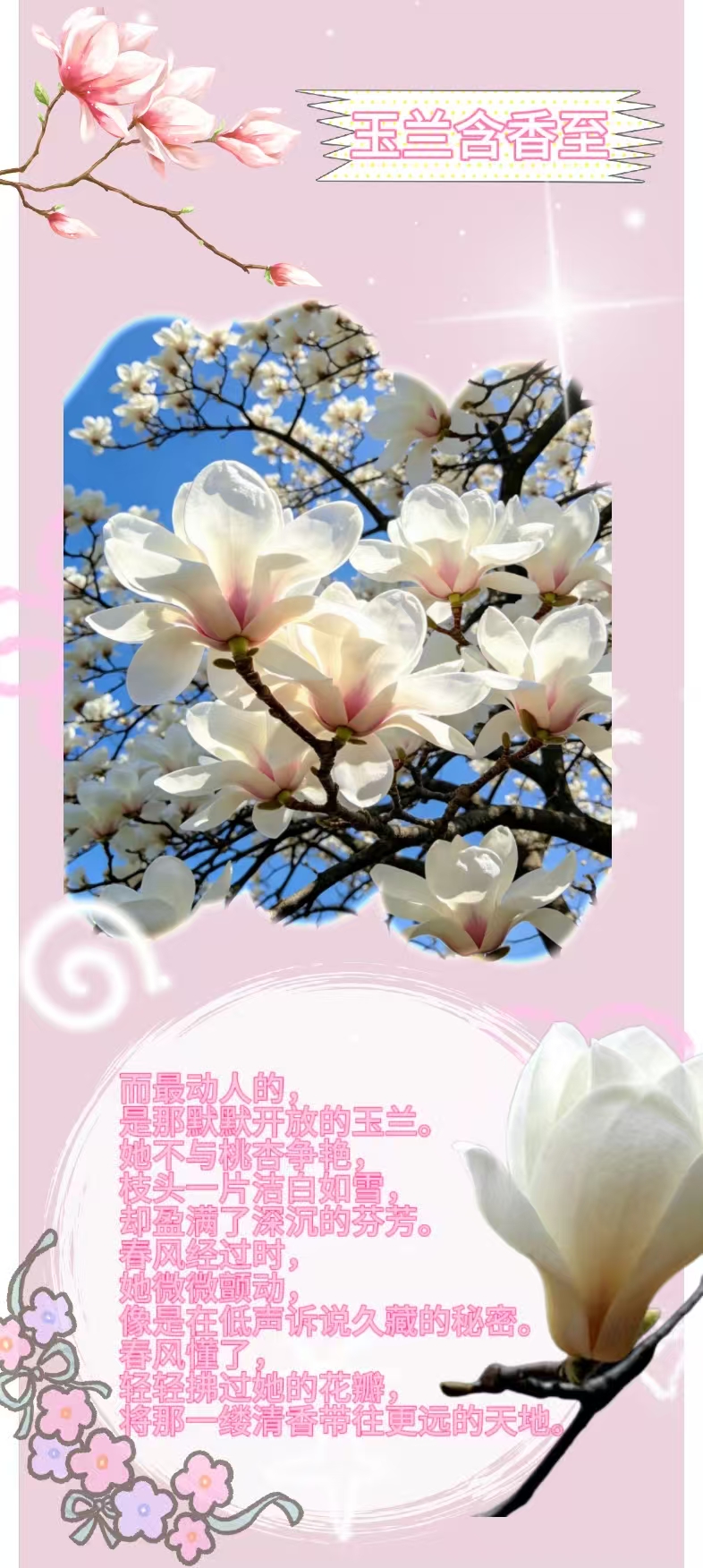 微信图片_20260406230800_191_84.jpg
