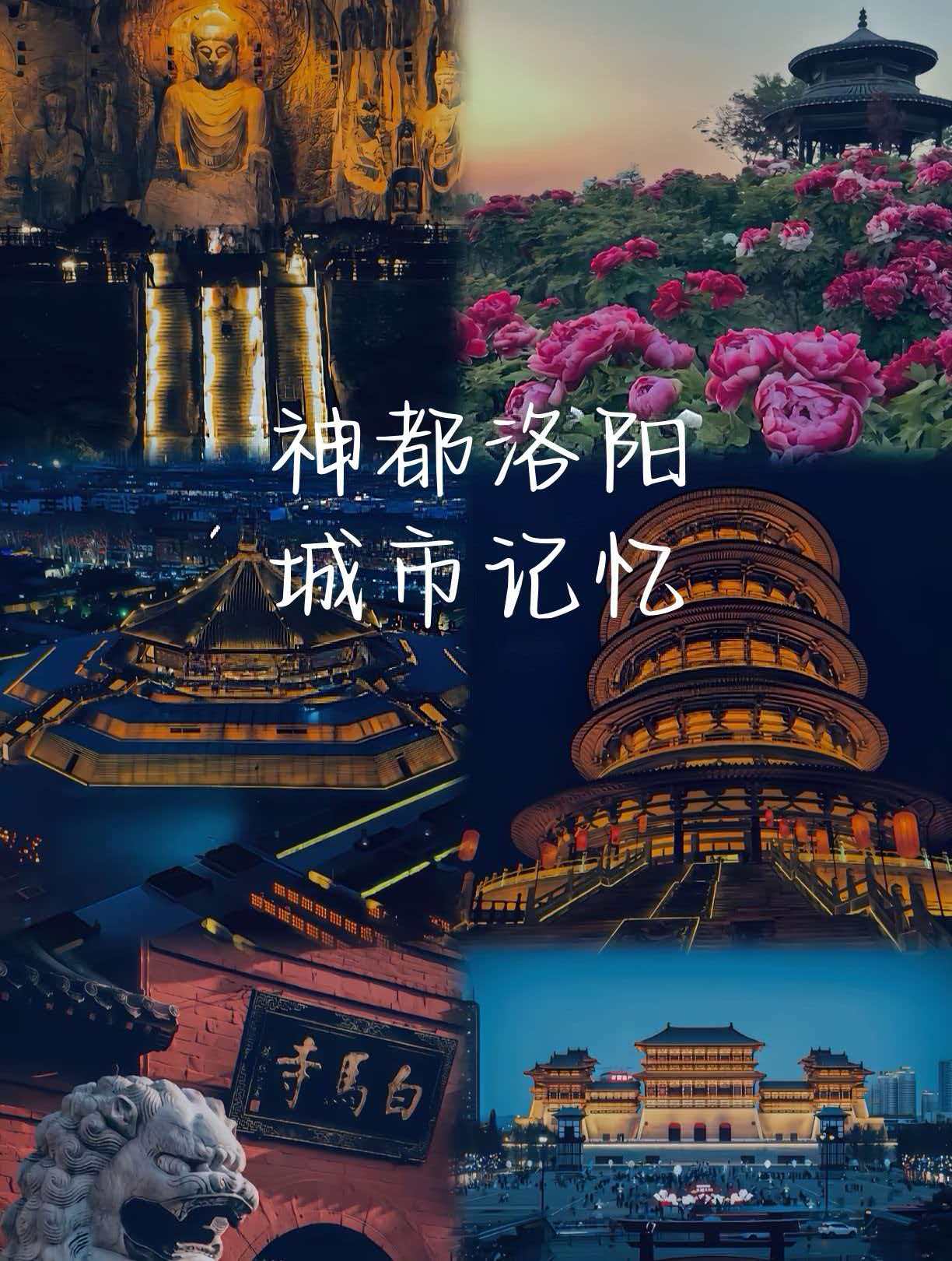 活动作品