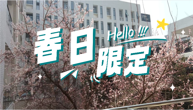 活动作品