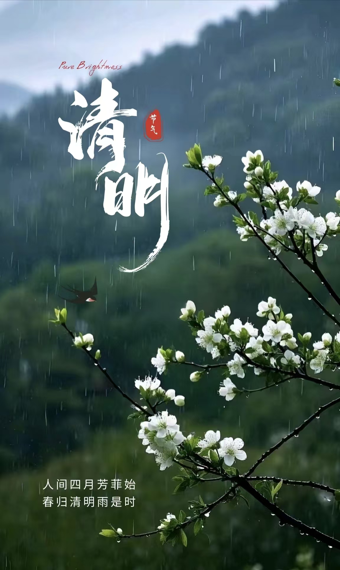 活动作品